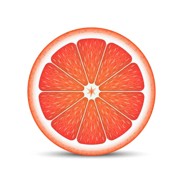 Realistický grapefruitový plátek — Stockový vektor