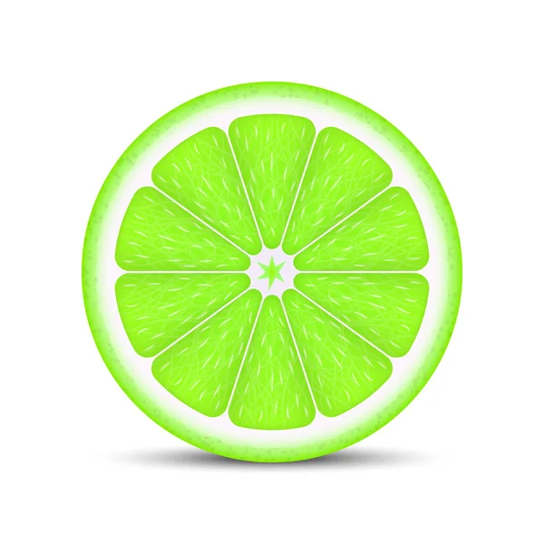 Tranche de citron vert réaliste — Image vectorielle