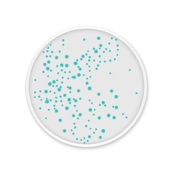 Macchie di batteri colonia su piatti rotondi — Vettoriale Stock