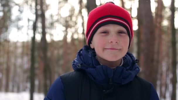 Хлопчик в червоній шапці в сніжному лісі — стокове відео