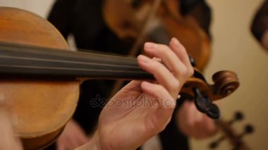 Keman çalmaya müzisyen Close-Up