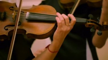 Keman çalmaya müzisyen Close-Up