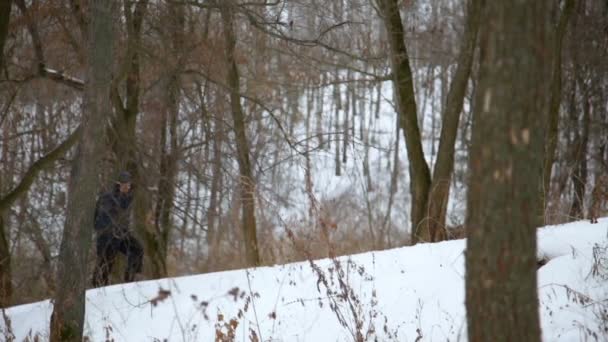 Hombre camina en el bosque de pinos de invierno — Vídeo de stock