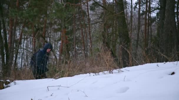 Homem caminha na floresta de pinho de inverno — Vídeo de Stock