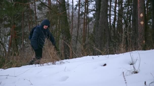 Homem caminha na floresta de pinho de inverno — Vídeo de Stock