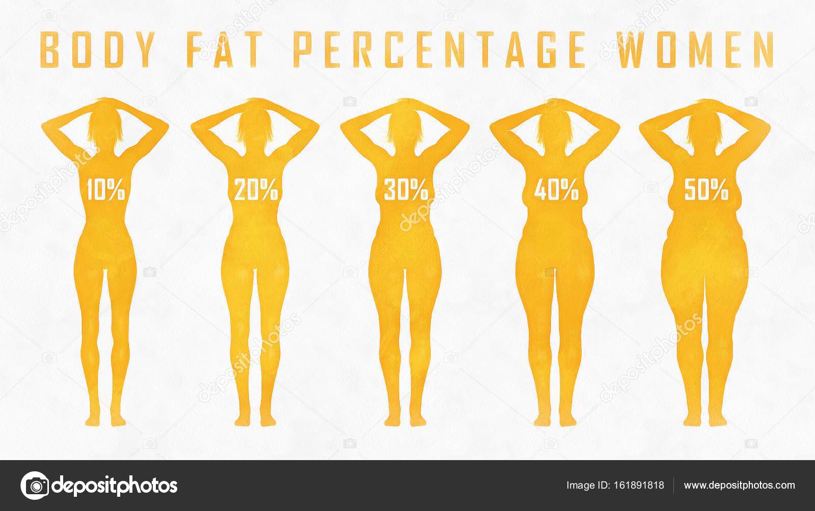 Body fat percentage woman Stock Photo by ©a3art.ru.gmail.com 161891818