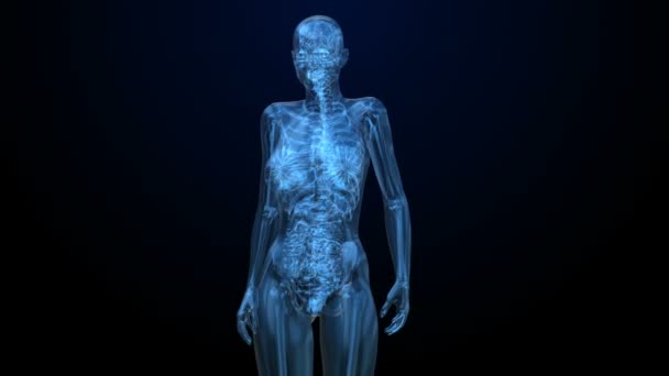 Podrobnosti o ženské břišní orgány v černém rentgenové