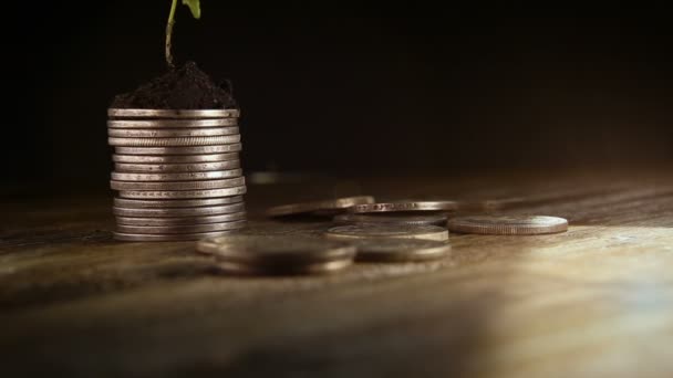 Росток из монет. Концепция роста денег . — стоковое видео