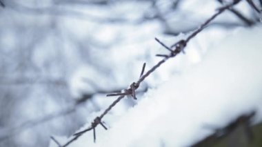 Barbwire kar kış