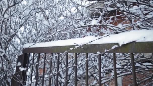Barbwire neve inverno — Vídeo de Stock
