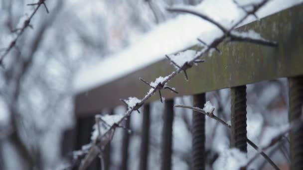 Barbwire nieve invierno — Vídeo de stock