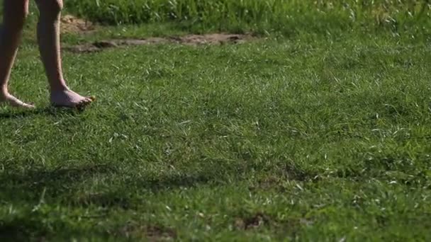 Pies desnudos caminando sobre la hierba, concepto de libertad y felicidad — Vídeo de stock