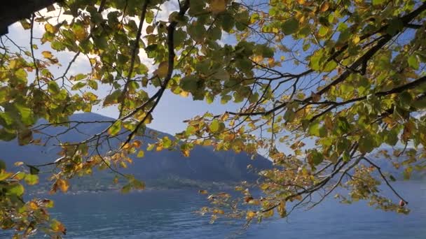 Залив Котор в Черногории. Вид на Которский залив солнечным осенним утром — стоковое видео