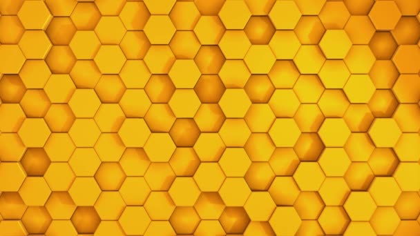 Peine de miel. Fragmento de imitación de panal de abeja de plástico. Fondo abstracto . — Vídeo de stock
