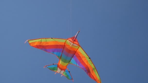 Vista trasera de una cometa volando alto en un cielo azul de cerca. Vista de aves — Vídeo de stock