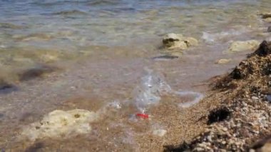 Plastik şişe sahilde. Plajda kalan çöp plastik şişe. Plastik şişe, arka plandaki deniz dalgaları, deniz ve kıyı kirliliği üzerine odaklanın