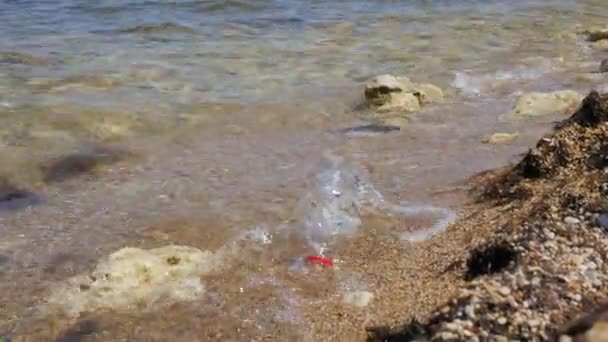 Bottiglia di plastica sulla spiaggia. Bottiglia di plastica spazzatura lasciata sulla spiaggia. Focus su bottiglia di plastica, onde marine sullo sfondo, mare e inquinamento costiero — Video Stock