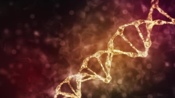 Abstrakte technologische Darstellung des digitalen Plexus-DNA-Moleküls. Für Biotechnologie, Chemie, Naturwissenschaften, Medizin und künstliche Intelligenz. Nahtlose Schleife. Rotierender DNA-Strang — Stockvideo