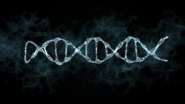 Representación tecnológica abstracta de la molécula de ADN del plexo digital. Para biotecnología, química, ciencia, medicina e inteligencia artificial. Lazo sin costuras. Rotación de ADN Strand — Vídeo de stock
