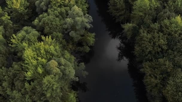Ciemna rzeka przepływająca przez jesienny kolorowy las. Dron latający nad lasem i spokojny obszar rzeki. Widok z góry na dół — Wideo stockowe