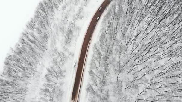 Drohne, von oben nach unten: Auto fährt durch eine verschneite Straßenkreuzung. fliegen über ein Auto, das auf eisglatter Straße fährt, während Schneesturm die Landschaft mit einer tiefen Schneedecke bedeckt. — Stockvideo