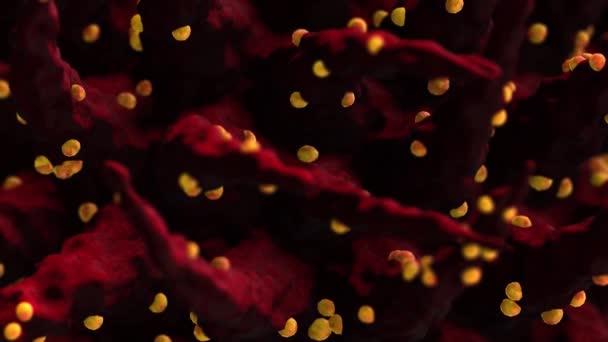 Virtuelle Darstellung Makromodell des neuartigen Coronavirus SARS-CoV-2, früher bekannt als 2019-nCoV, dem Erreger der Coronavirus-Krankheit COVID-19 — Stockvideo