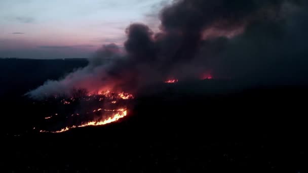 Přirozený Bush Fire hoří v noci. Oheň plamen v temné noci letecké zrno výstřel — Stock video