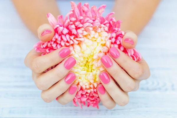 Rosa Maniküre und Gänseblümchen — Stockfoto