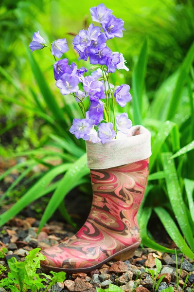 Rain boot med blommor i trädgården — Stockfoto