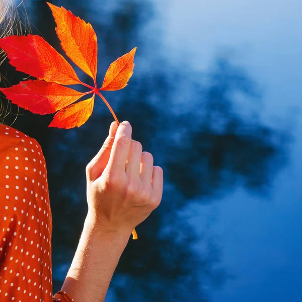 Mujer mano con hoja roja de otoño — Foto de Stock