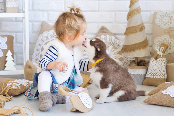 Baby girl playing Husky puppy — Stock Photo, Image