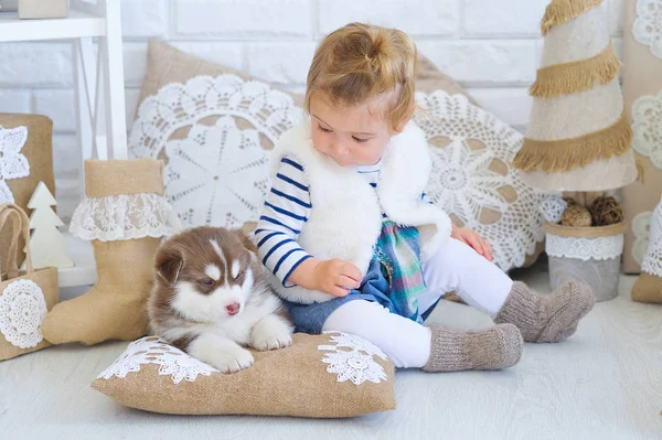 Baby meisje spelen Husky pup — Stockfoto