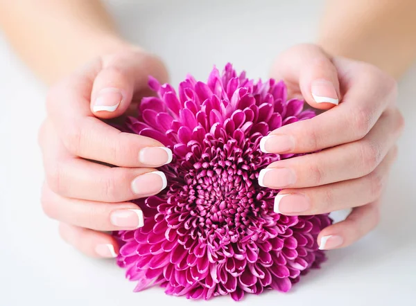 Vrouw handen met prachtige Franse manicure — Stockfoto