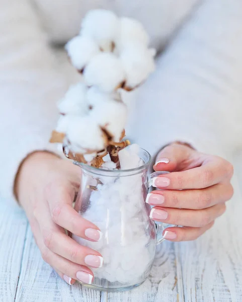Beautiful French manicure and cotton flower — Stock Photo, Image