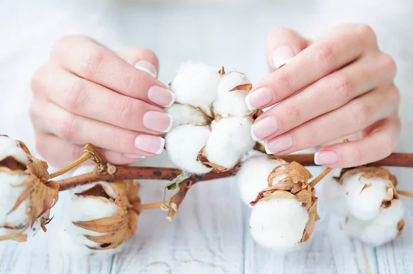 Beautiful French manicure and cotton flower — Stock Photo, Image