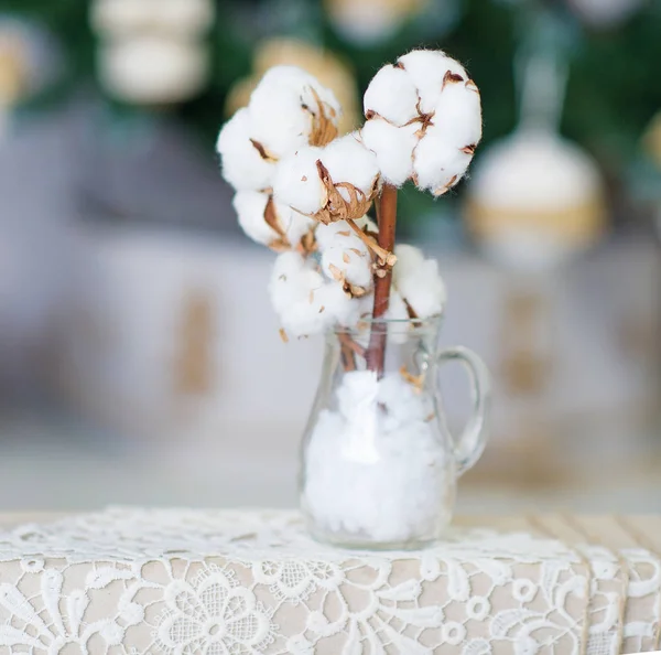 Delicate white cotton flowers — Stock Photo, Image