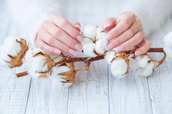 Francouzská manikúra a jemné bílé bavlny květina — Stock fotografie