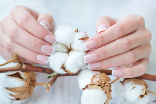 French manicure and delicate white cotton flower — Stock Photo, Image