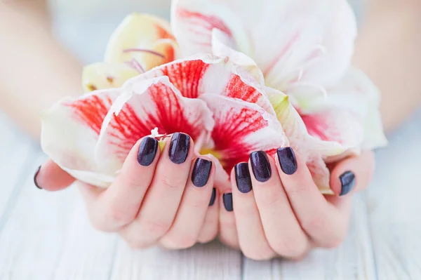 Dark manicure and flowers — Stock Photo, Image