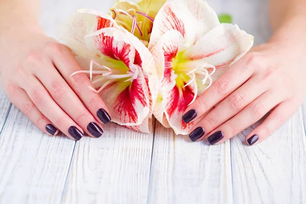 Dark manicure and flowers — Stock Photo, Image