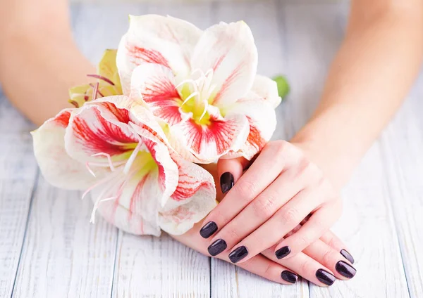 Dark manicure and flower — Stock Photo, Image
