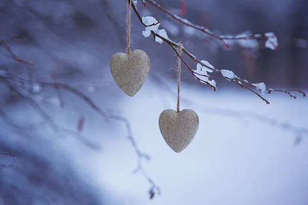 Golden heart decoration detail hanging on a tree — Stock Photo, Image