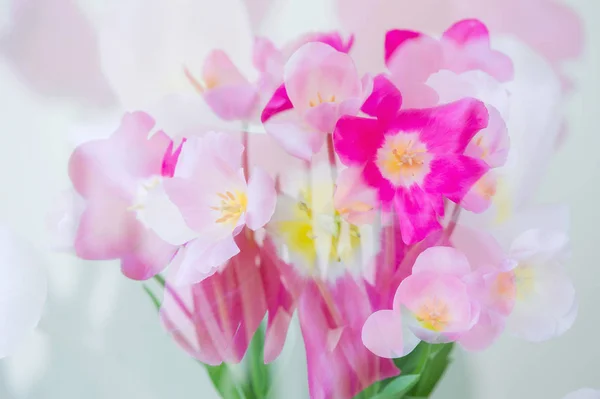 Doppia esposizione fiori sfondo — Foto Stock