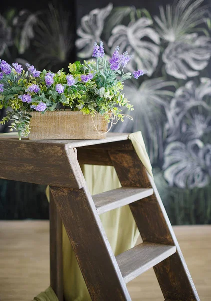 Fleurs de printemps sur échelle décorative en bois — Photo