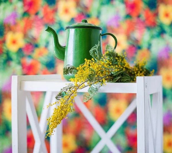 Still life with voorjaar mimosa — Stockfoto
