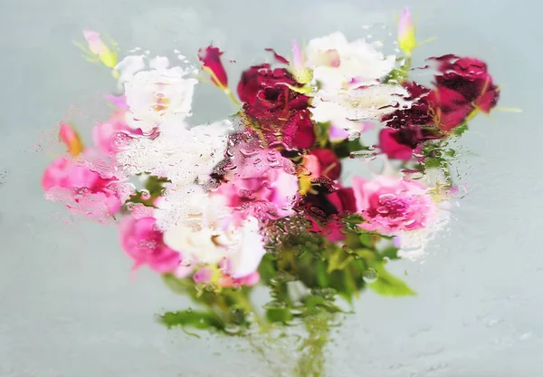 Fleurs printanières sous l'eau — Photo