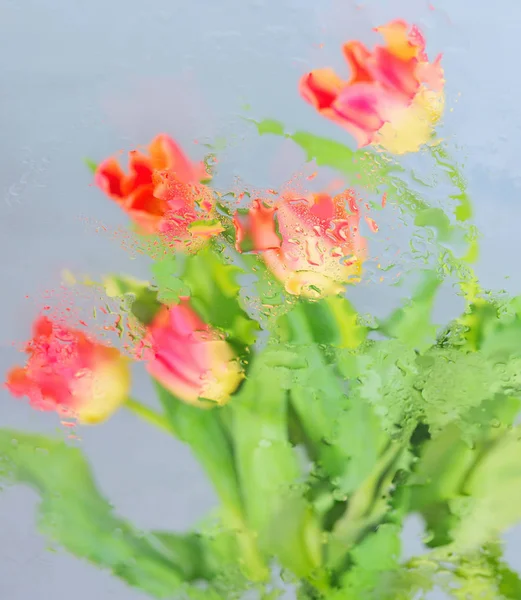 Çiçekler su ile cam altında — Stok fotoğraf