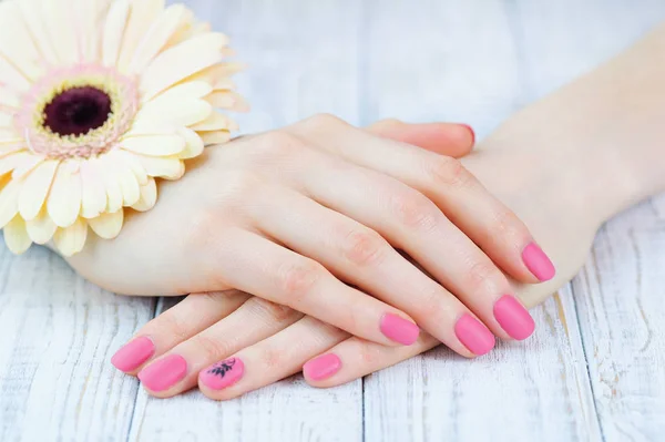 Roze manicure en delicate daisy bloem — Stockfoto