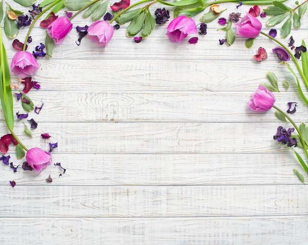 Floral καρέ με μώβ τουλίπες — Φωτογραφία Αρχείου
