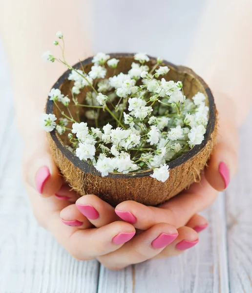 Frauenhände mit rosa Maniküre mit Kokosnussschale voller Blumen — Stockfoto